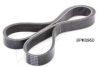 ASHIKA 112-6PK950 V-Ribbed Belts